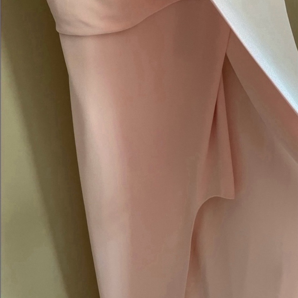 Halston Heritage Blush Strapless Dress - Picture 5 of 5